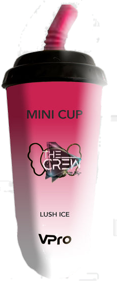 VPRO MINI CUP 6600 HITTS