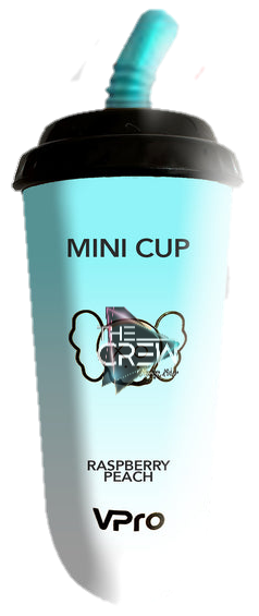 VPRO MINI CUP 6600 HITTS