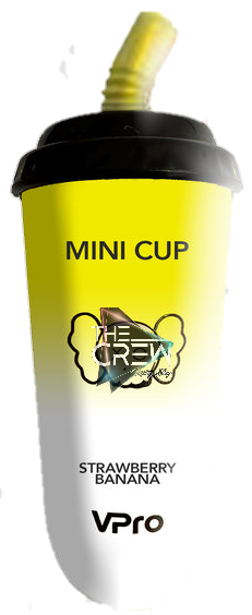 VPRO MINI CUP 6600 HITTS